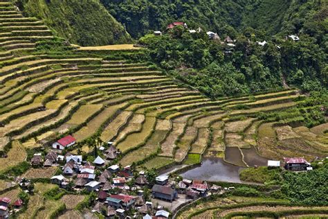 Banaue & Batad Rice Terraces in Ifugao Province — .
